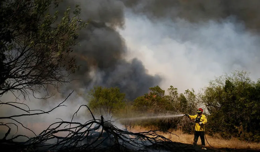 SUA: Incendii de vegetaţie în Texas. Cel puţin patru persoane au murit