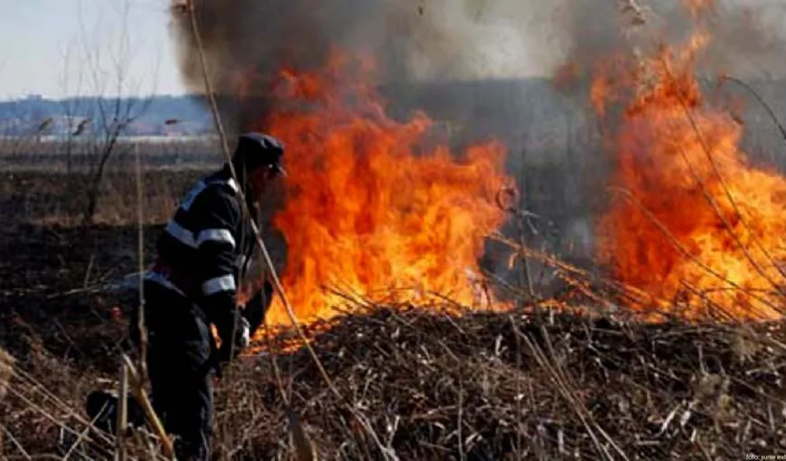 Argeş: Peste 30 de incendii de vegetaţie, înregistrate în ultimele două zile