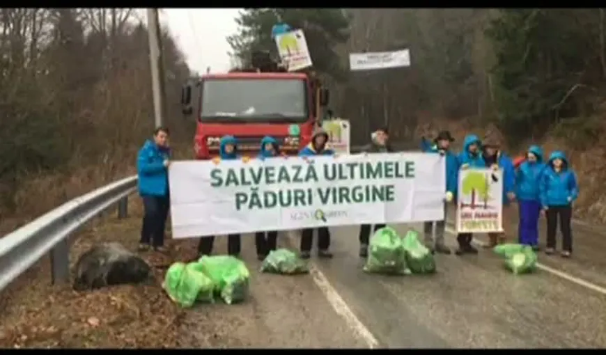 Protest împotriva tăierilor masive de păduri. Mai multe camioane cu lemne din Munţii Făgăraş au fost blocate de activişti
