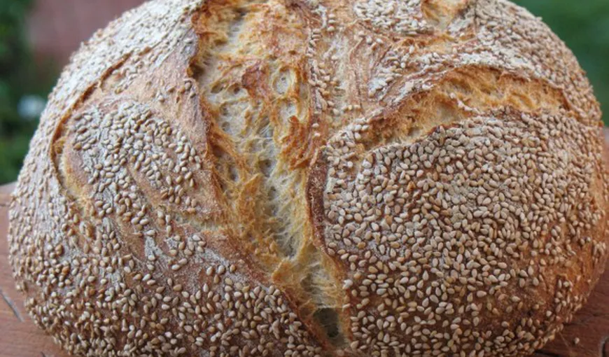 Pâine din făină integrală şi tărâţe