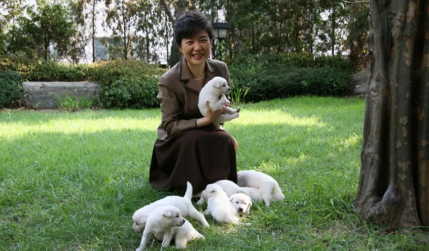 Fosta preşedintă de la Seul, Park Geun-Hye, acuzată că şi-a abandonat câinii