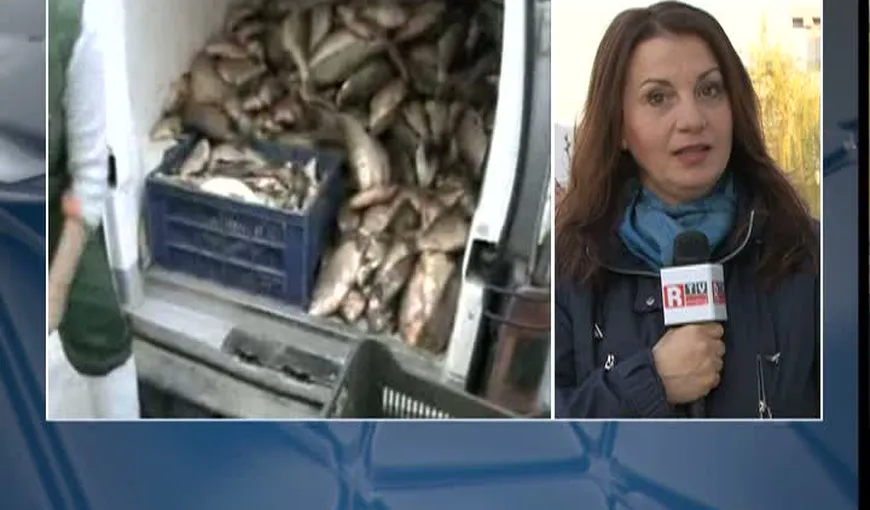 Sute de kilograme de peşte au fost confiscate înainte de Buna Vestire