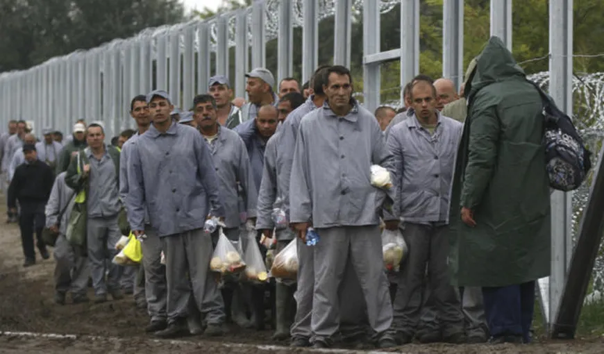 Consiliul Europei, îngrijorat de soarta imigranţilor care se află în detenţie, în Ungaria