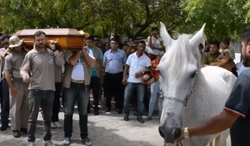 ÎŢI VOR DA LACRIMILE. Incredibil ce a făcut un cal la înmormântarea stăpânului său VIDEO