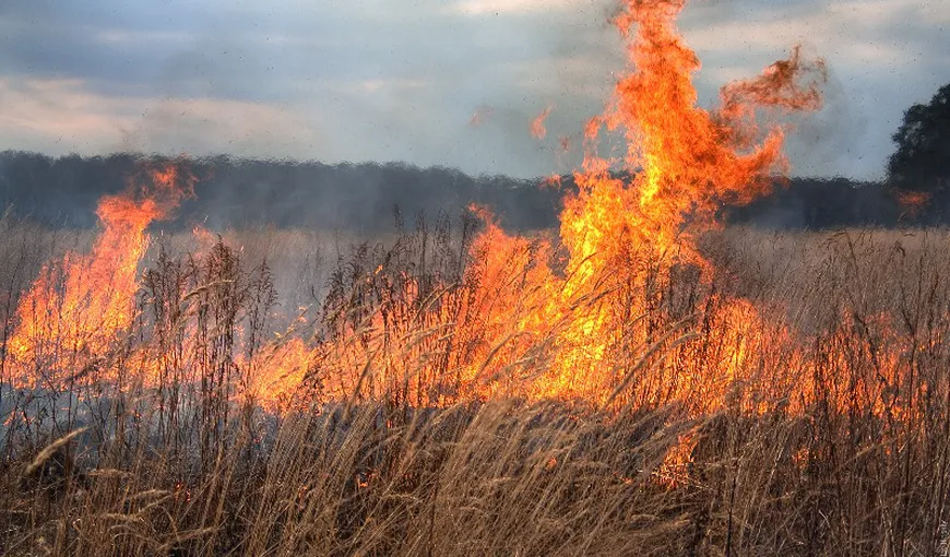 Pompierii intervin de o zi pentru stingerea incendiului de vegetaţie din Munţii Apuseni. Suprafaţa s-a extins la 15 ha