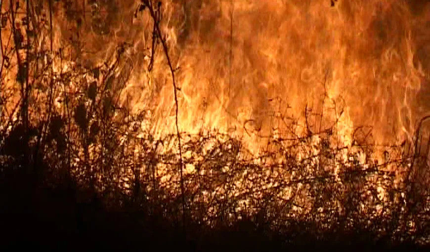Incendiu de vegetaţie pe Muntele Tâmpa în Braşov