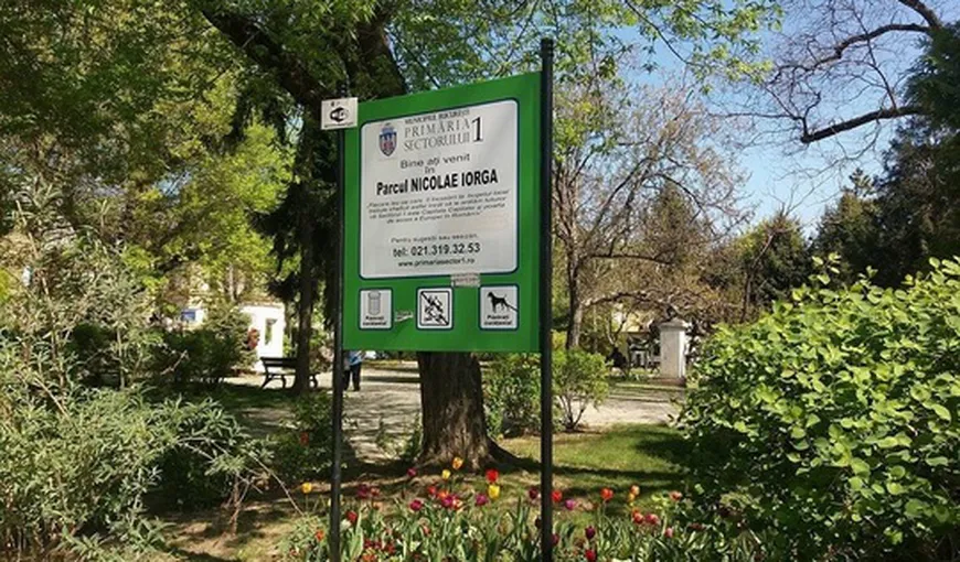 Ambasada Italiei scoate la licitaţie Parcul Nicolae Iorga din Bucureşti