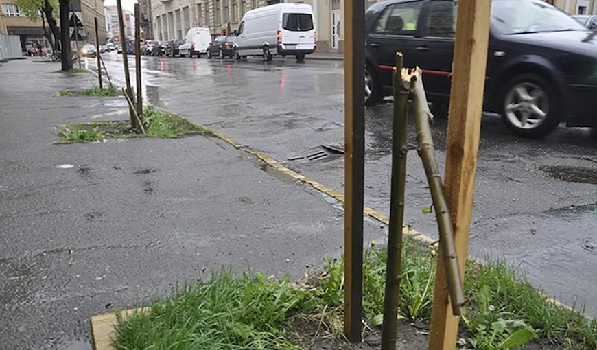 Un angajat de la salubritate a vandalizat centrul oraşului Satu Mare. Incredibil ce a putut să facă omul VIDEO