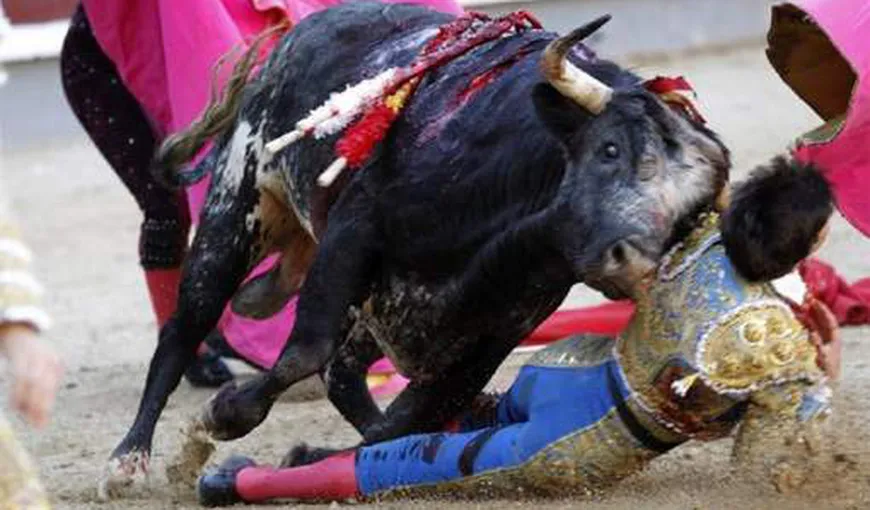 Imagini de groază la o corrida, la Madrid. Un toreador a fost grav rănit de un taur VIDEO