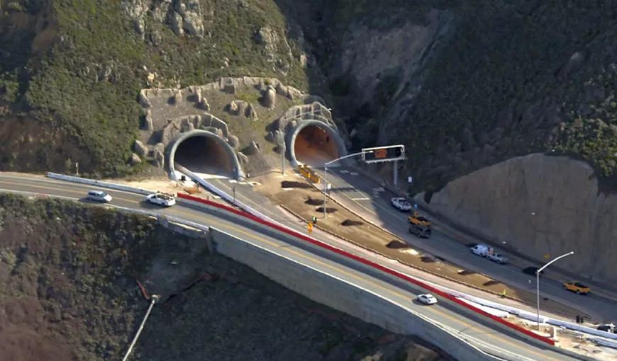 Motivul incredibil pentru care nu se construiesc autostrăzi în România. Proiectul Sibiu-Piteşti e compromis de broaşte şi gândaci