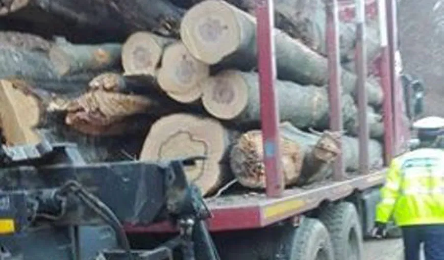 Un camion, depistat cu arbori nemarcaţi transportaţi pentru Holzindustrie Schweighofer. Prima reacţie a companiei