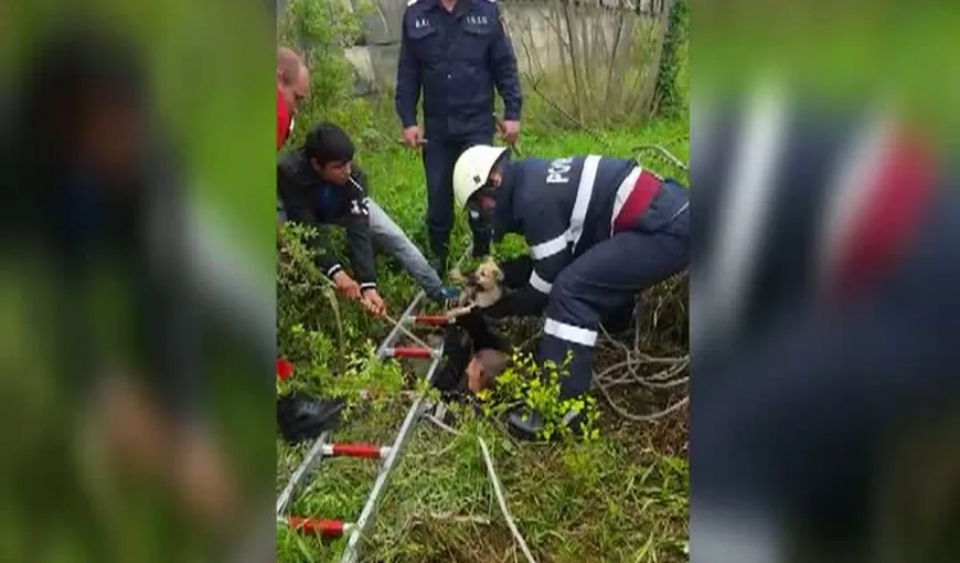 Intervenţie inedită a pompierilor, la Mediaş. Un căţel, salvat dintr-un puţ de 17 metri VIDEO