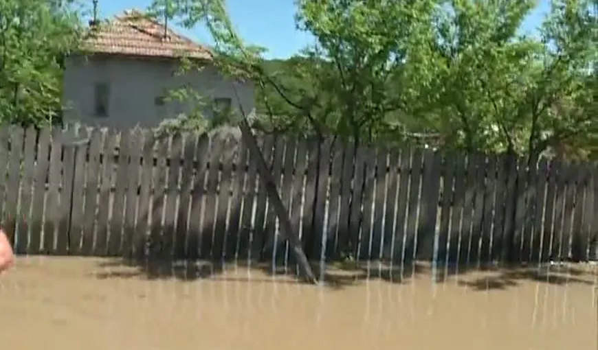 Ploile au făcut ravagii în judeţul Bacău. Mai multe gospodării au fost inundate, iar circulaţia pe un drum naţional este îngreunată