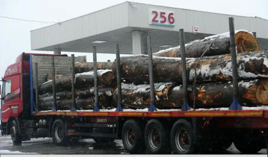 Transportul de lemn din fondul forestier ar putea fi interzis pe timpul nopţii