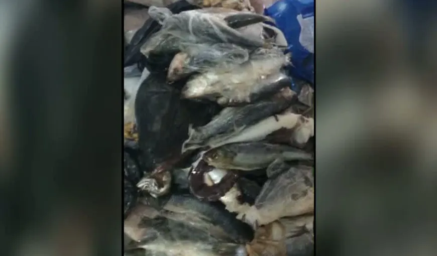 Situaţie revoltătoare la Bacău. Un bărbat a găsit viermi în peştele proaspăt cumpărat de la magazin