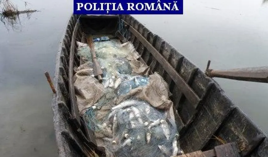 Poliţiştii au confiscat peste 600 de kilograme de peşte şi mai multe materiale de pescuit în valoare totală de peste 25.000 de lei
