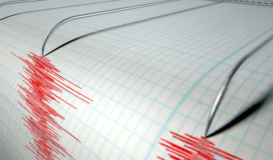 Două cutremure au avut loc, în interval de două ore, în Vrancea