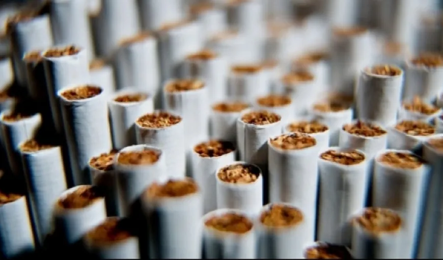 Peste 200.000 de ţigarete, găsite de poliţişti ascunse în compartimentul de marfă al unei autoutilitare