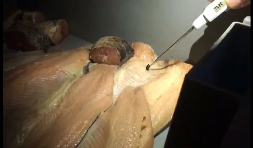 Scadal într-o piaţă din Constanţa. Zeci de kilograme de peşte stricat au fost găsite de inspectorii OPC