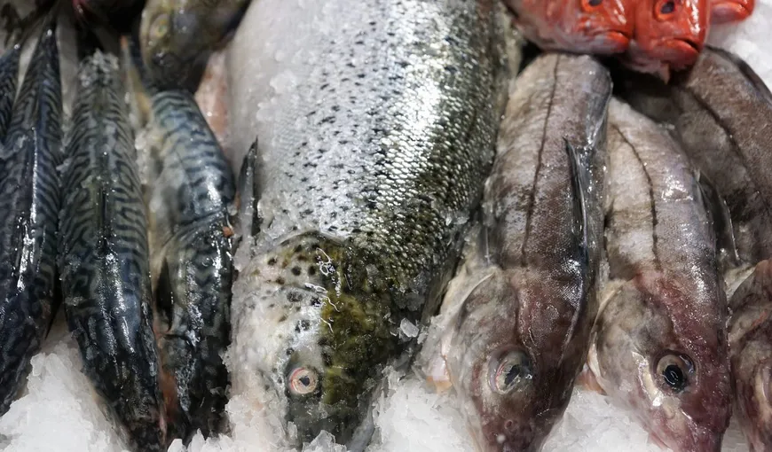 Fii atent când cumperi aceste tipuri de peşte! Iată de ce