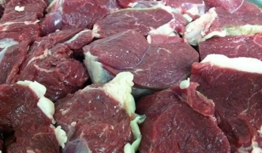 Europol, în cooperare şi cu România, a arestat 66 de persoane implicate într-un caz de comercializare de carne de cal