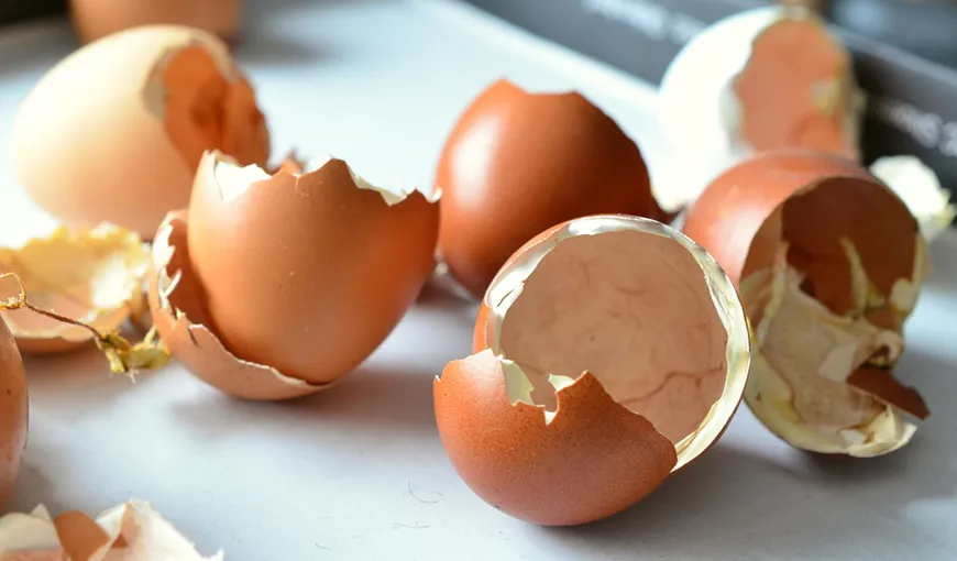 Tratamente naturiste. Cojile de ouă, sursă naturală de calciu. 4 beneficii ale acestora
