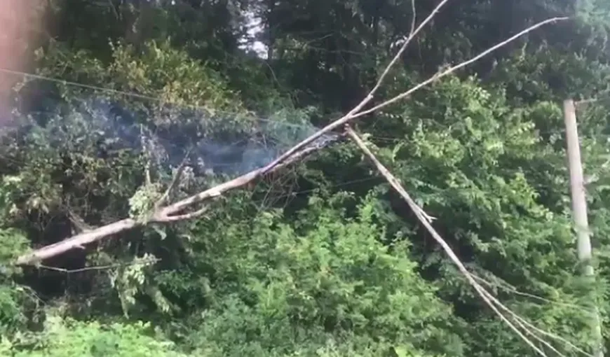 Din cauza vijeliei, un copac a căzut pe firele electrice pe ruta Braşov-Predeal şi a stopat alimentarea cu energie electrică