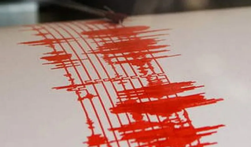 Cutremur în judeţul Buzău. Seismul s-a produs la o adâncime de 13, 9 kilometri
