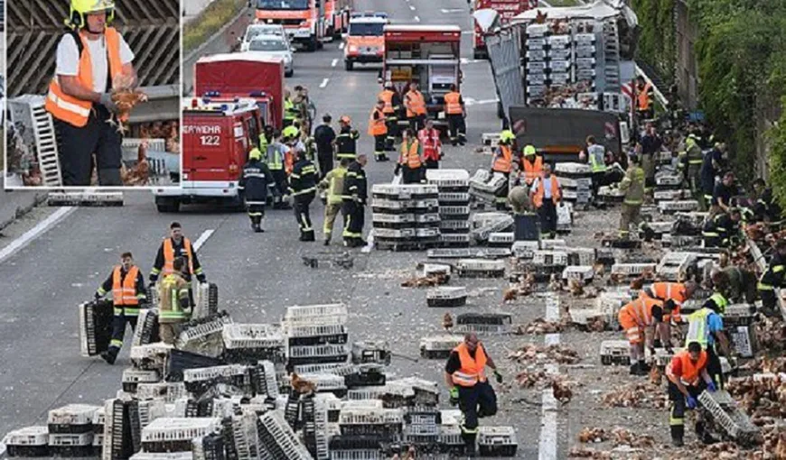 Mii de găini au blocat o autostradă aglomerată din Austria