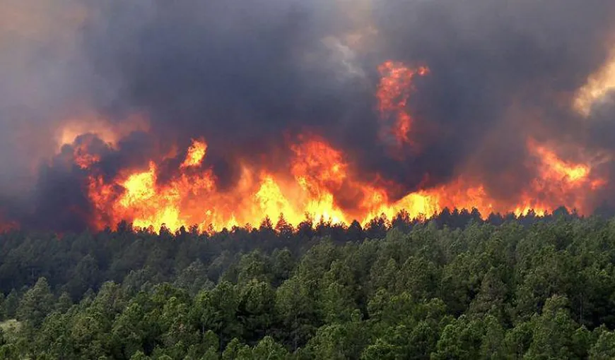 Incendii de pădure violente, la graniţa dintre Franţa şi Spania