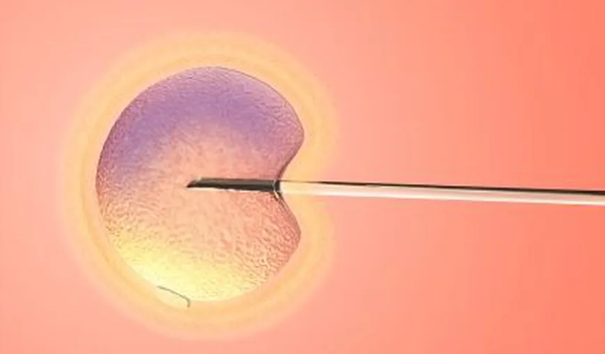 Proiect pentru sporirea natalităţii: Statul să suporte şi a doua inseminarea artificială în cazul în care prima eşuează