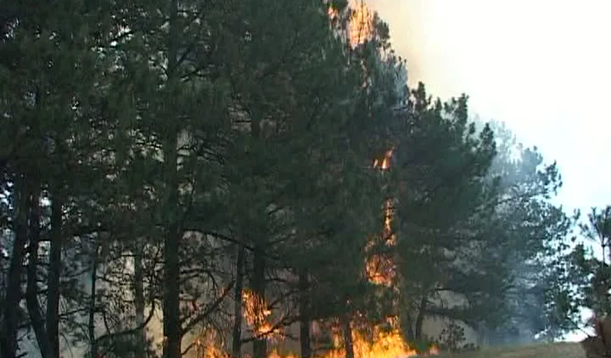 Incendiu de vegetaţie în Canada, 46.000 de persoane au fost evacuate. 220 de elicoptere şi avioane luptă să stingă focurile