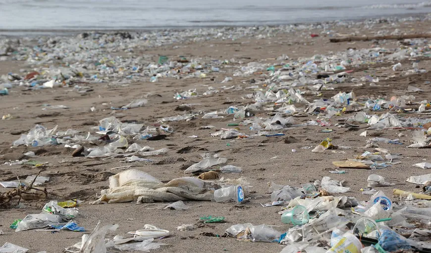 Poluarea cu plastic riscă „o contaminare aproape permanentă” a naturii