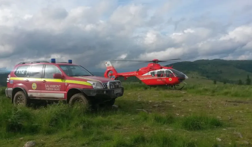 Un turist a fost muşcat de o viperă pe Transfăgărăşan. Acesta a fost preluat de elicopterul SMURD şi dus la un spital din Bucureşti
