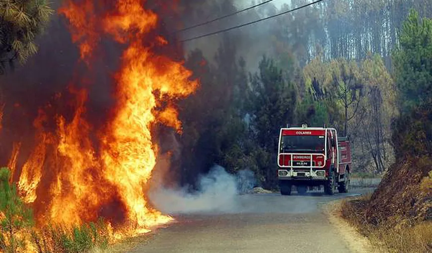 Un român este acuzat că ar fi provocat incendii de vegetaţie în Italia. Bărbatul a fost arestat