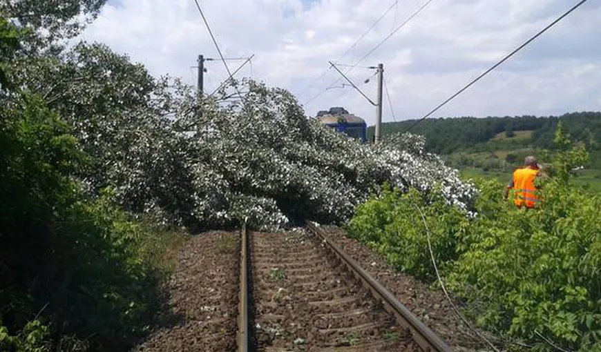 Circulaţia feroviară pe magistrala 900 Craiova – Drobeta-Turnu Severin a fost reluată în condiţii normale