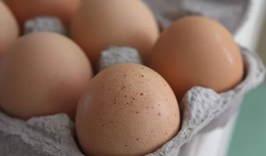 Ministrul Agriculturii din Germania, despre ouăle contaminate din UE: Este criminal