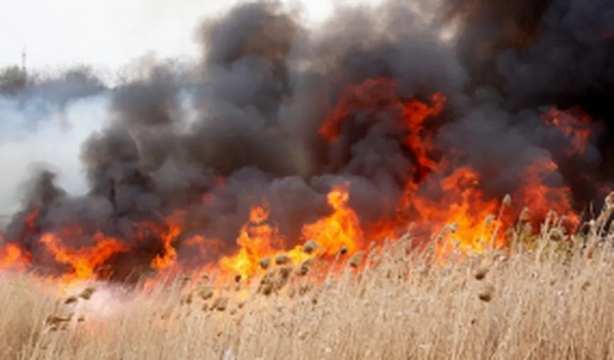 Persoanele fizice şi juridice care incendiază vegetaţie uscată pot primi amenzi de la 3.000 la 50.000 de lei