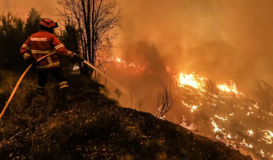 Incendiile fac ravagii în Portugalia. Peste 118.000 de hectare au fost distruse de flăcări