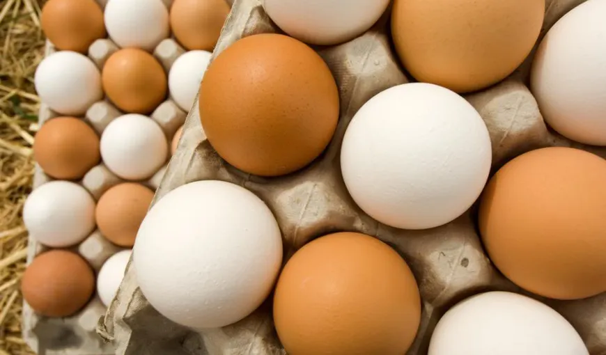 SCANDALUL ouălor contaminate. ANSVSA: O mie de kilograme de gălbenuş de ou cu insecticid, descoperite în Timiş