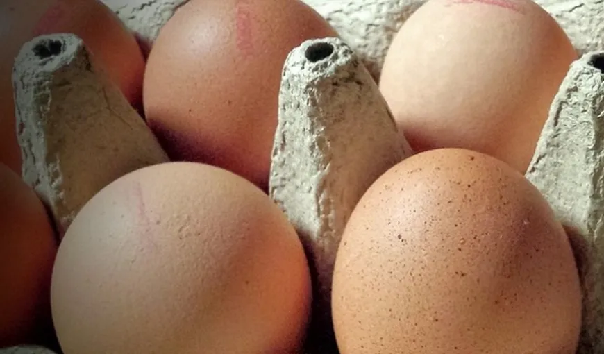 Scandalul ouălor contaminate cu insecticid se extinde în opt state din UE