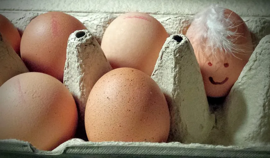 Ouă contaminate cu insecticid în mai multe ţări din UE. ANSVSA: Nu sunt informaţii că au intrat pe piaţa din România
