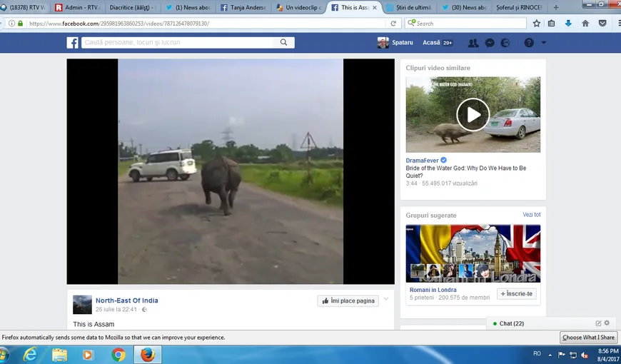 Rinocerul şi şoferul. Slalom incredibil pe o şosea din India VIDEO