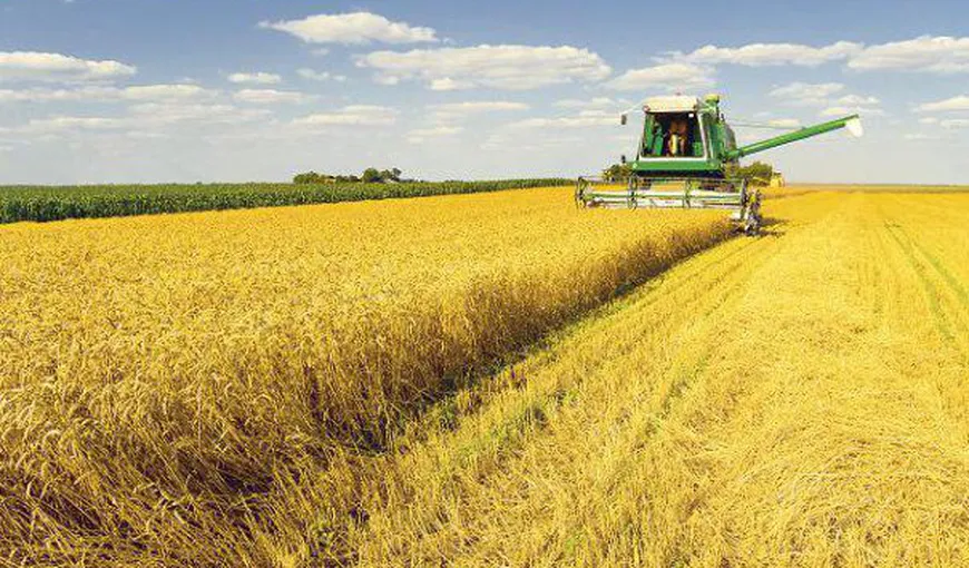 Serbia restricţionează vânzarea terenurilor agricole către cetăţenii din UE