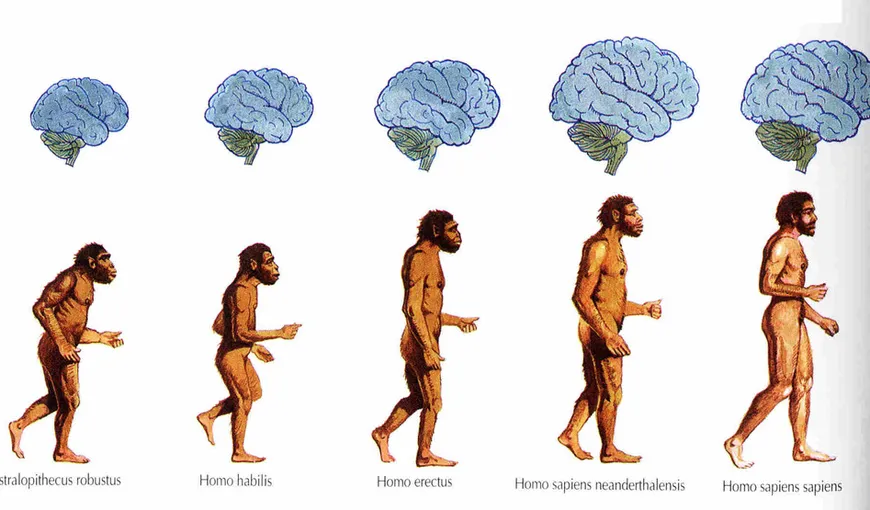 Noi descoperiri arheologice datează originile Homo Sapiens cu 350.000 de ani în urmă