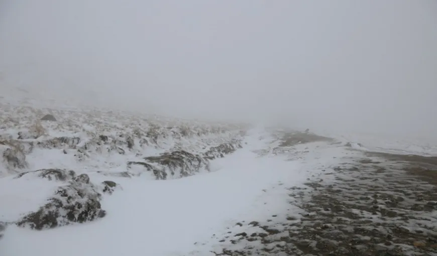 Prima ninsoare la munte. Stratul de zăpadă măsoară câţiva centimetri pe platoul Bucegilor VIDEO