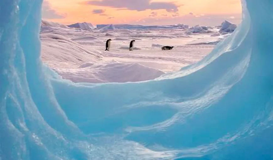Antarctica misterioasă. Studii recente arată că sub gheaţa sa se ascund specii necunoscute