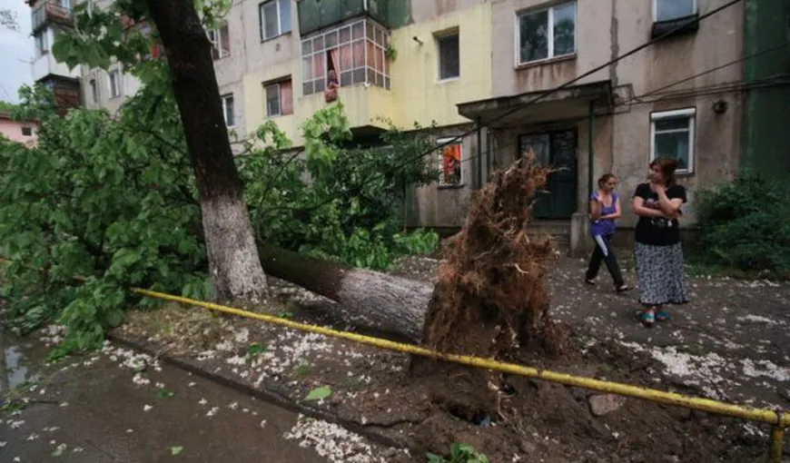 Furtunile fac ravagii în ţară: Acoperişuri smulse, maşini avariate şi copaci rupţi de vântul puternic