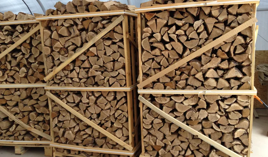 Propunere legislativă prin care exportul de lemne de foc este interzis pentru trei ani
