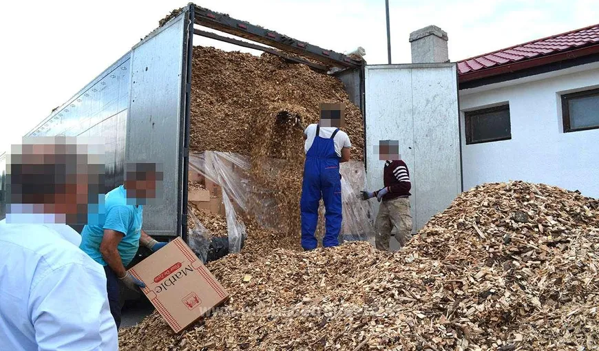 Aproape 250.000 de pachete cu ţigări din Ucraina, descoperite într-un TIR la Vama Halmeu